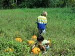 resIMG_20141004_130750_3388.JPG